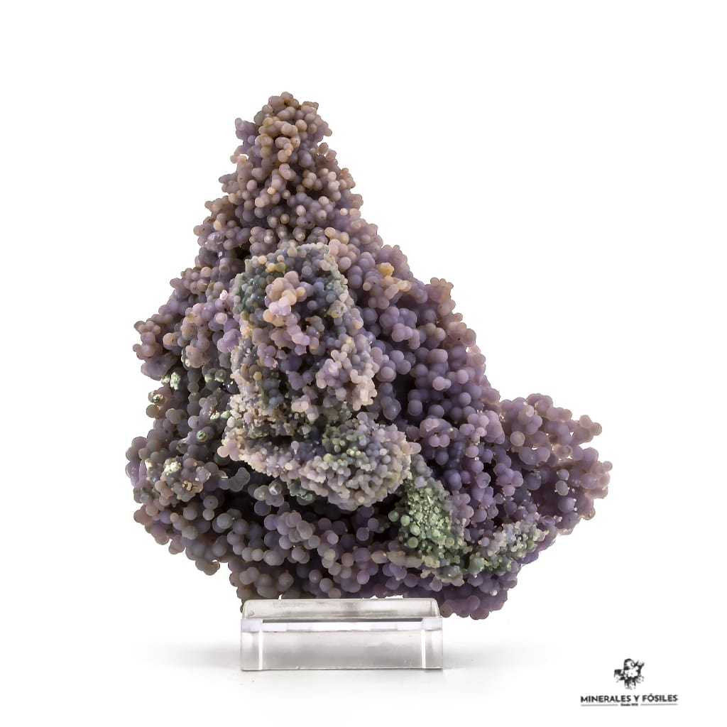 CALCEDONIA LAVANDA