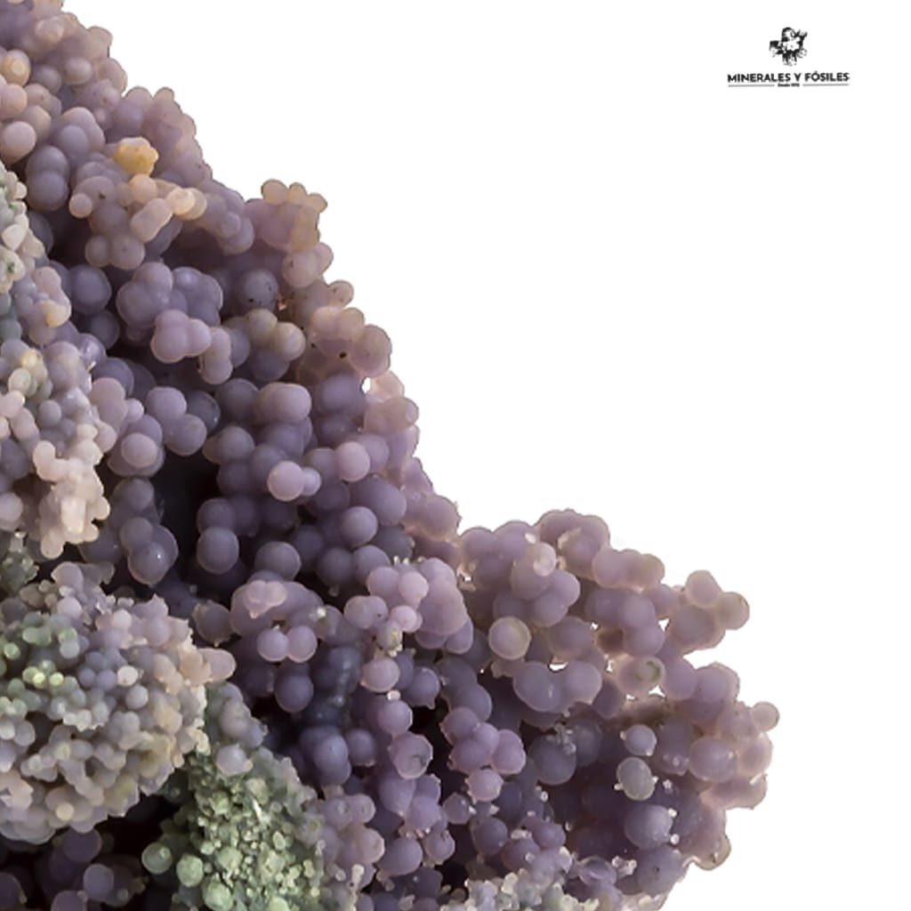 CALCEDONIA LAVANDA globular