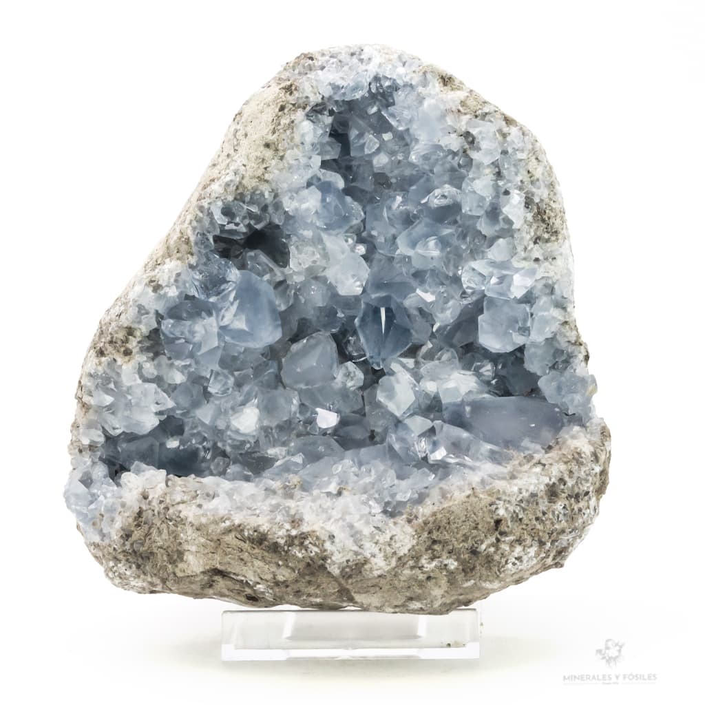 CELESTINA GEODA
