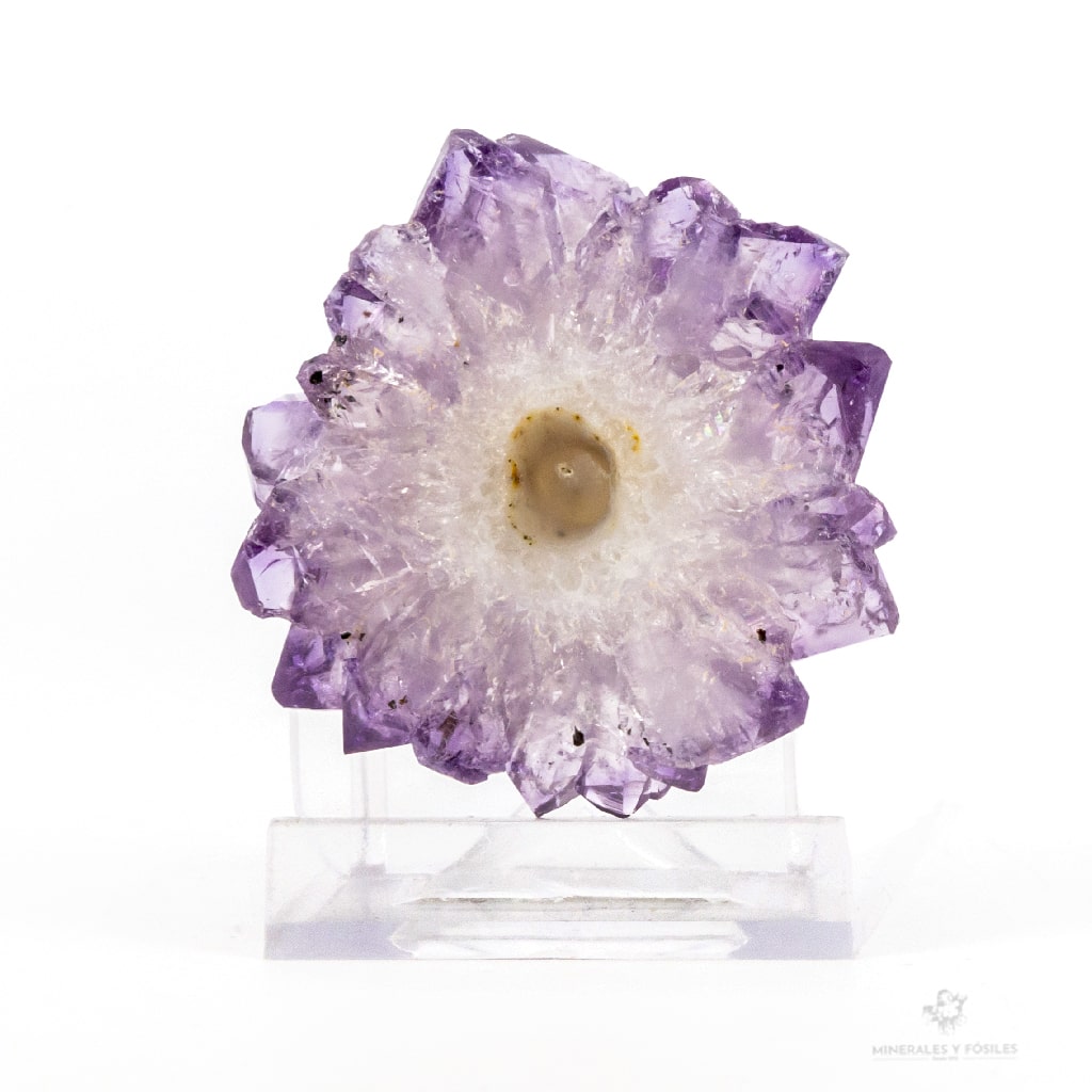 AMATISTA RODAJA ESTALACTITA MORADA