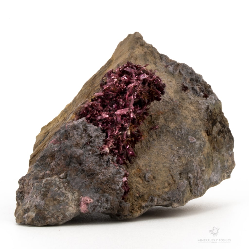 cristales de eritrina