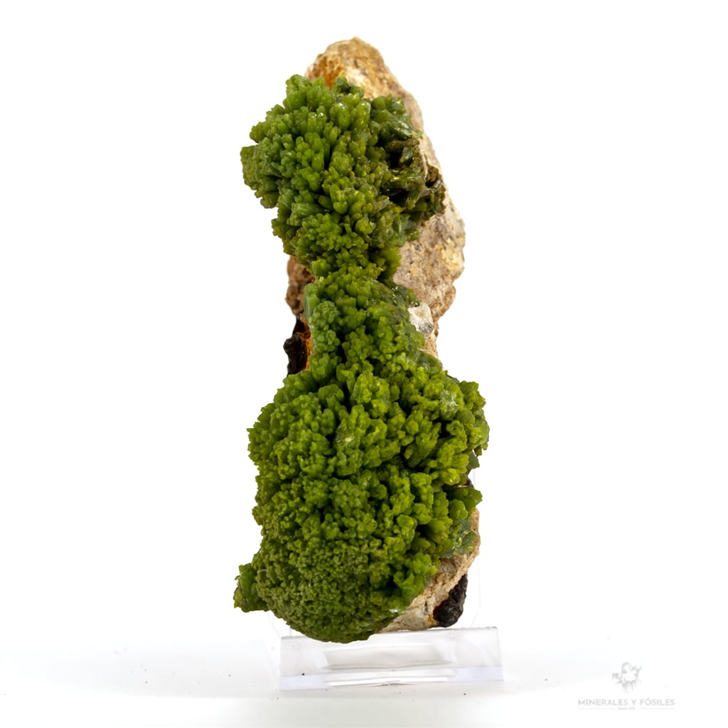 piromorfita en matriz verde