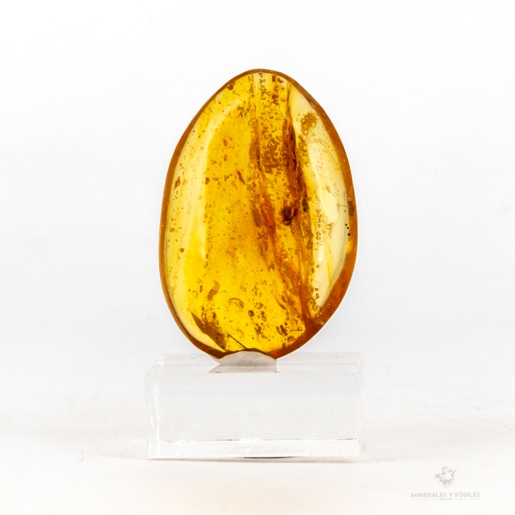 ÁMBAR OVAL CON ABEJA