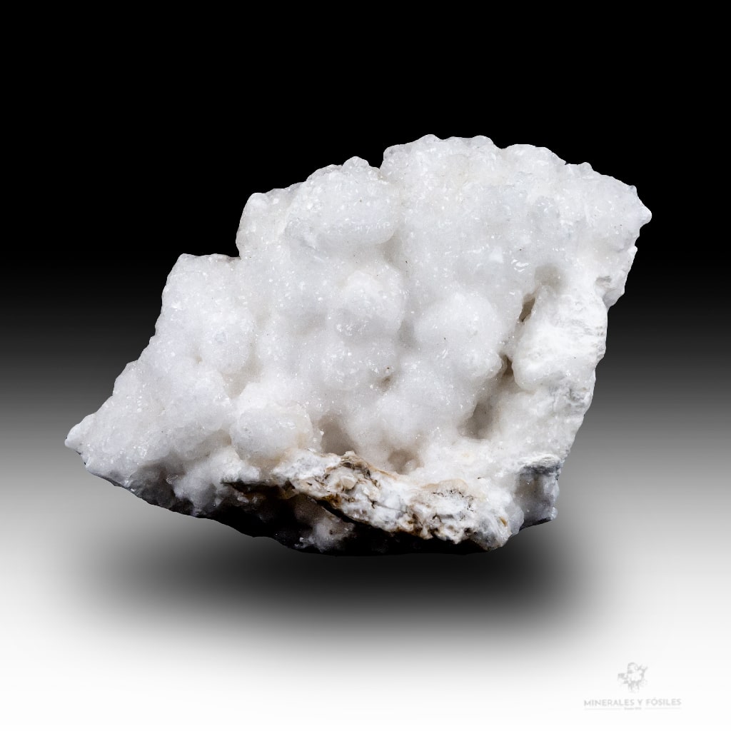 ARAGONITO CORALOIDE