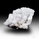 ARAGONITO CORALOIDE
