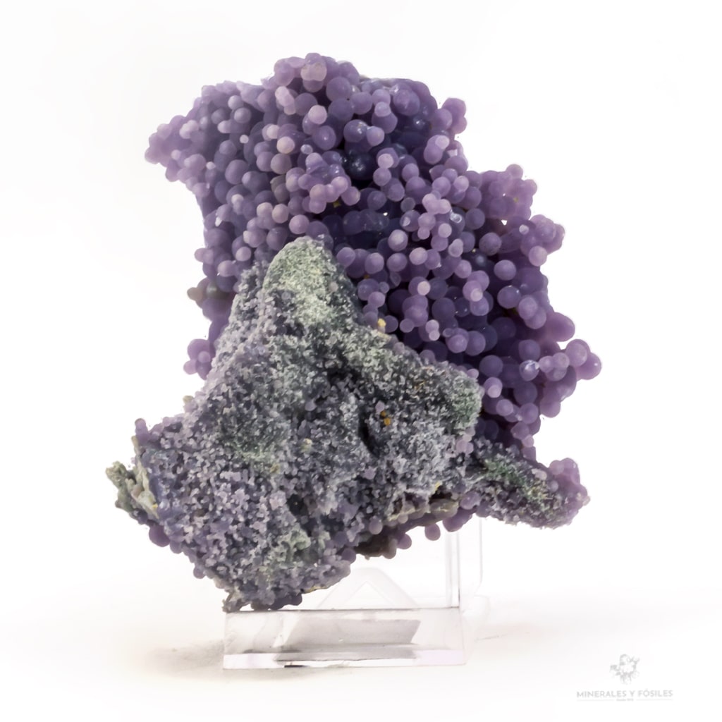 CALCEDONIA LAVANDA racimo de uva