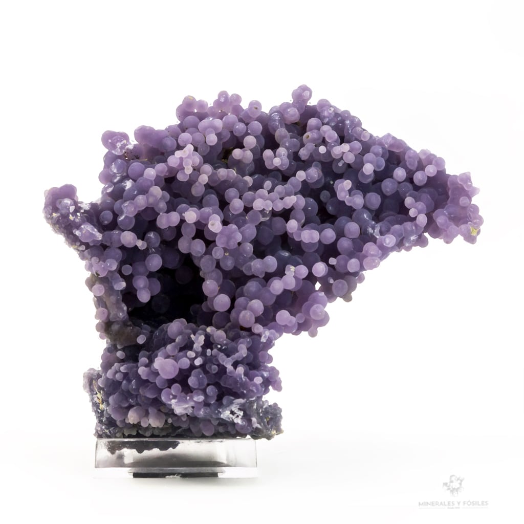 CALCEDONIA LAVANDA