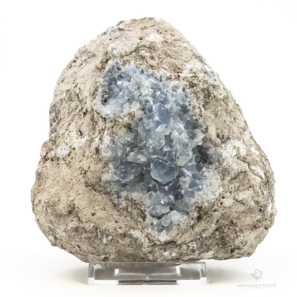 CELESTINA GEODA