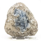 CELESTINA GEODA