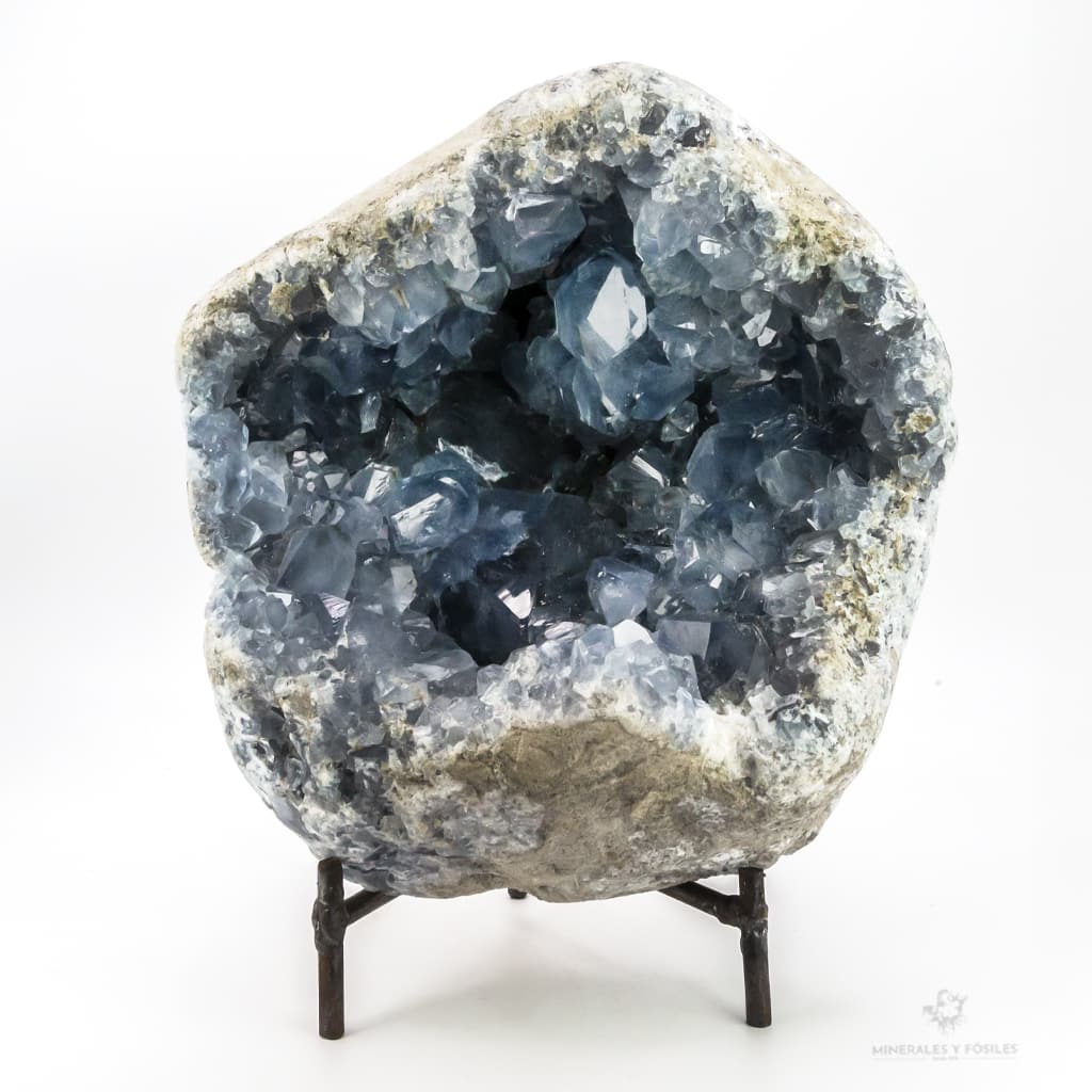 CELESTINA GEODA EXTRA