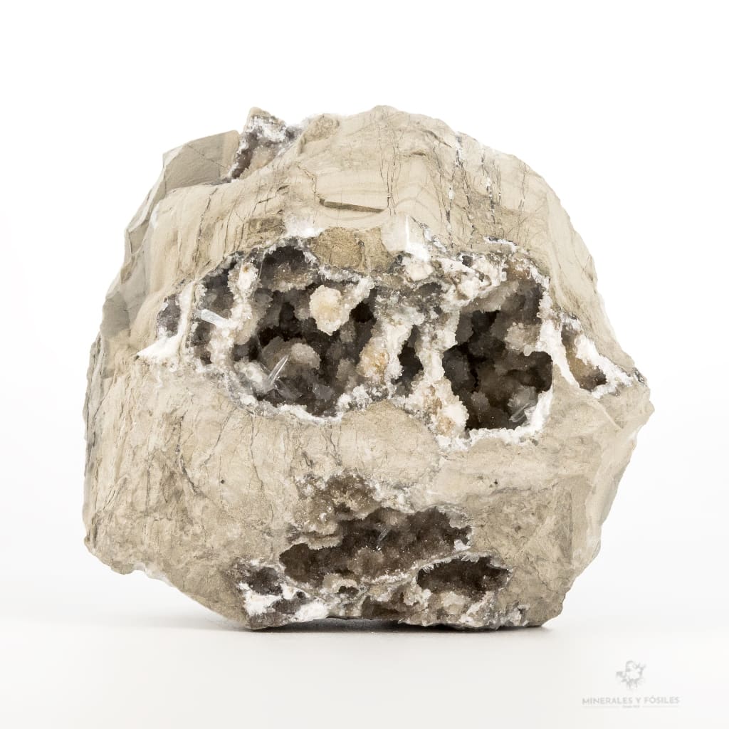 CELESTINA GEODA