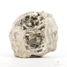 CELESTINA GEODA