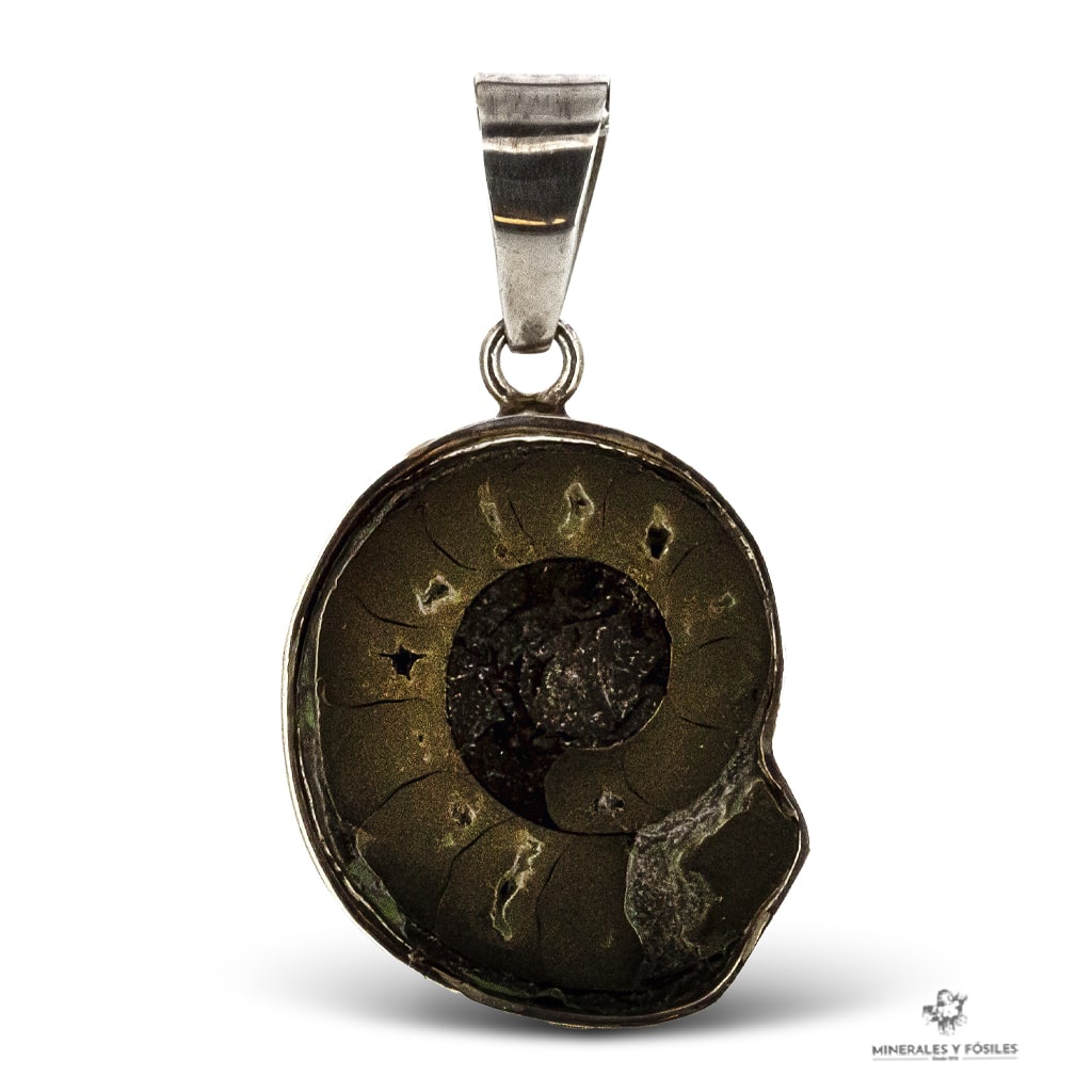 COLGANTE DE AMMONITES