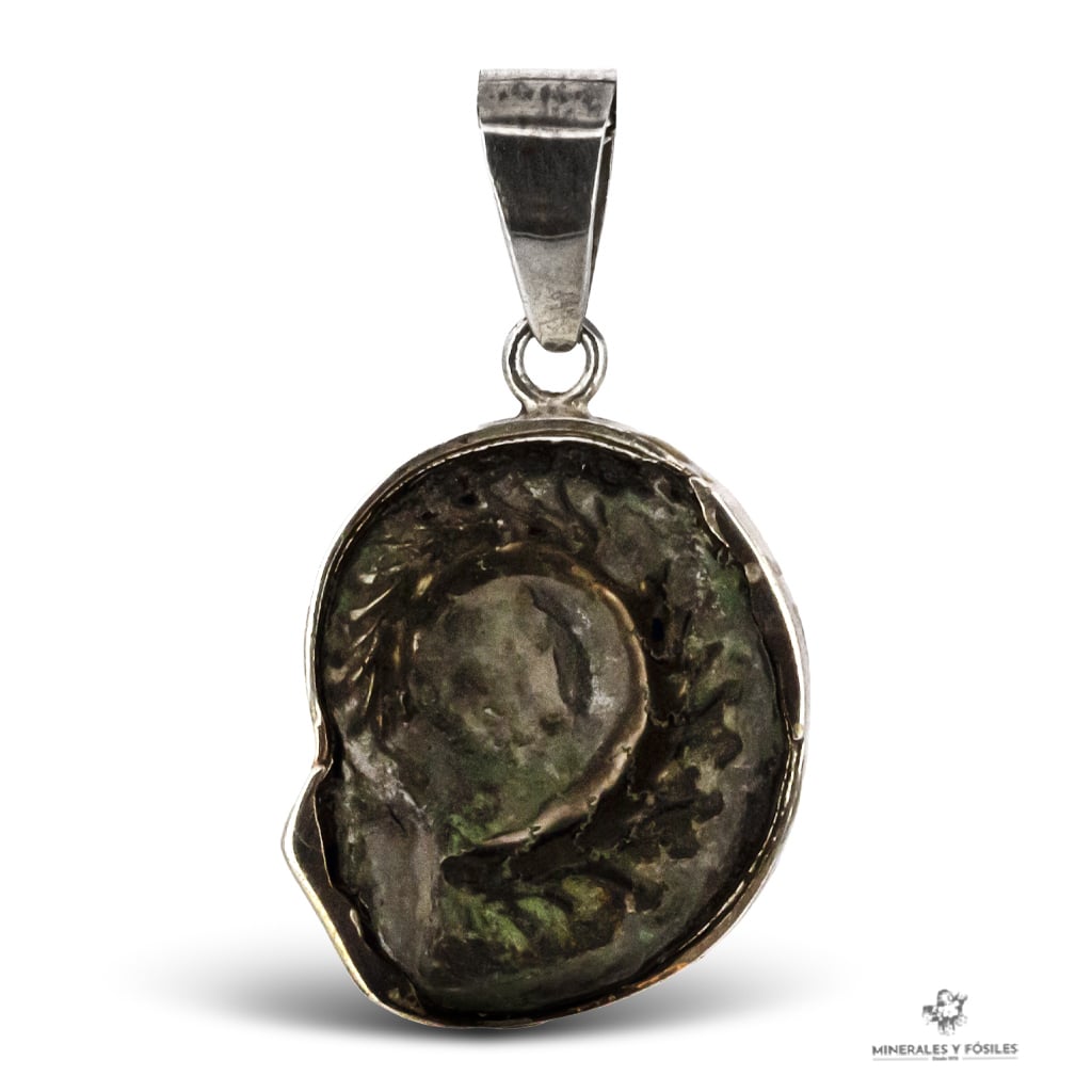 COLGANTE DE AMMONITES PIRITA
