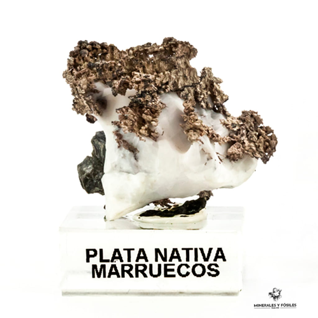 PLATA NATIVA en matriz
