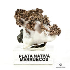 PLATA NATIVA en matriz
