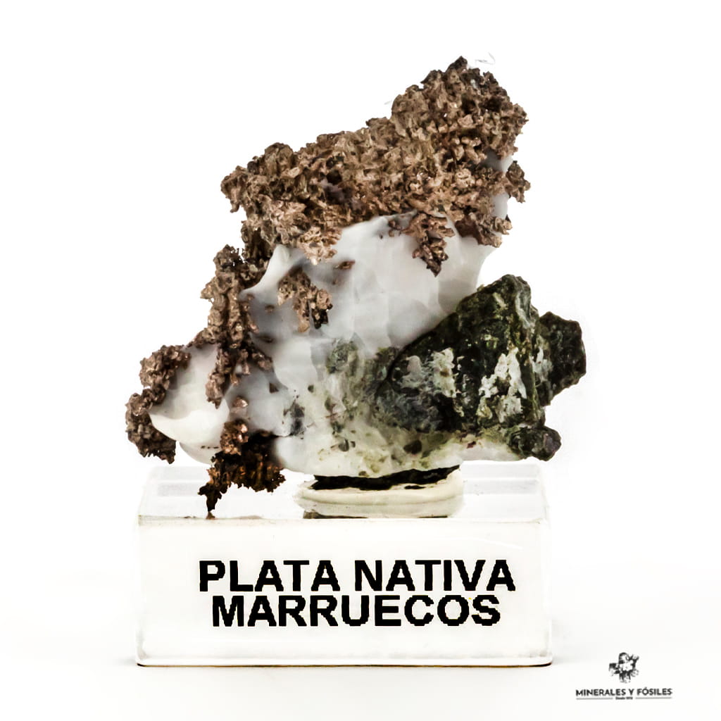 PLATA NATIVA en matriz