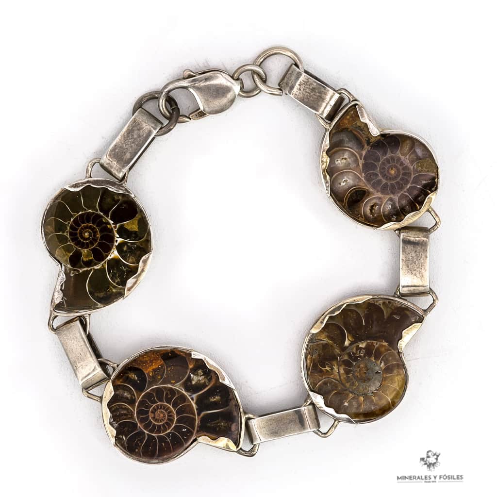 PULSERA DE AMMONITES