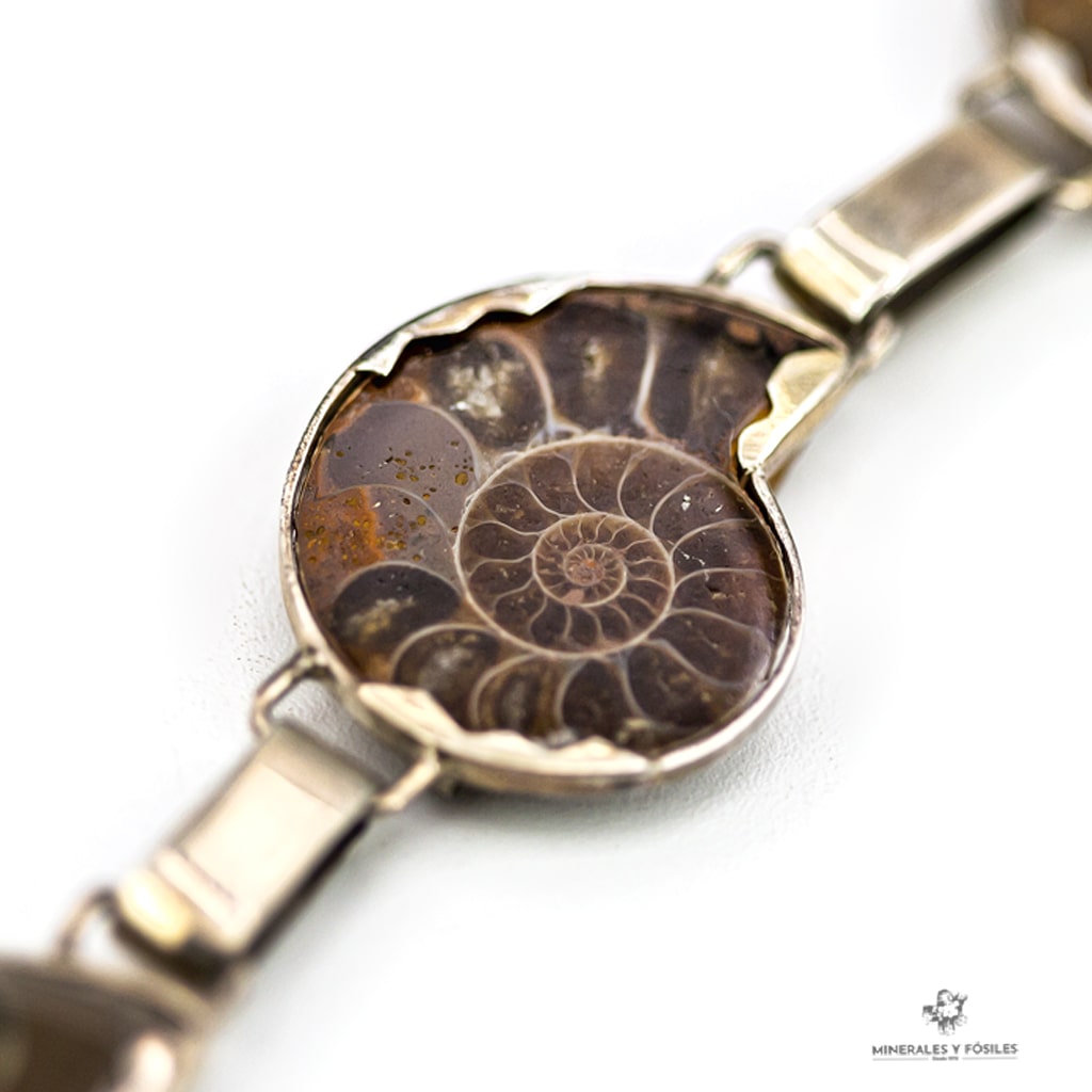 PULSERA DE AMMONITES PLATA