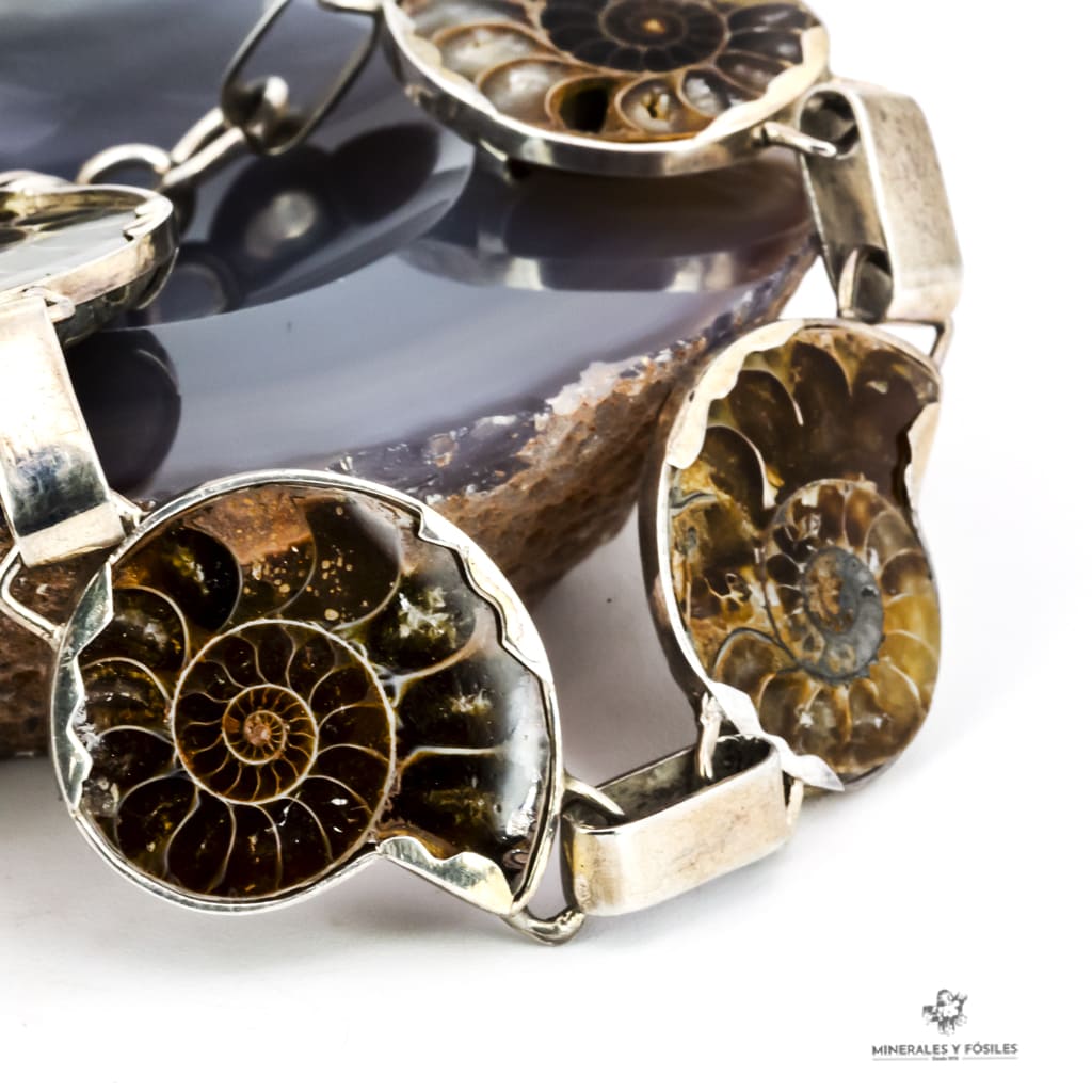 PULSERA DE AMMONITES Articulada