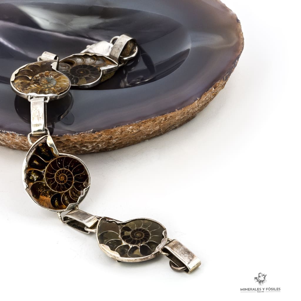PULSERA DE AMMONITES Bodegon