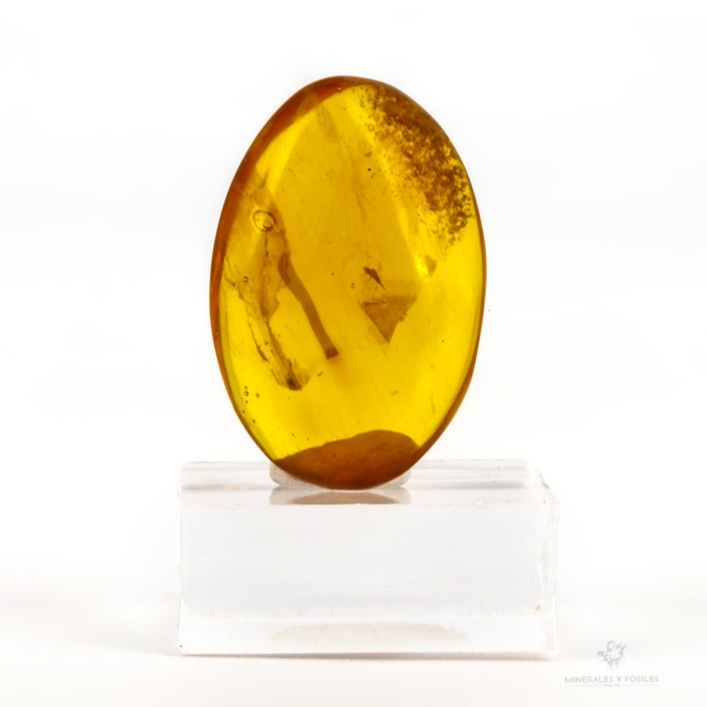 ámbar oval calidad extra