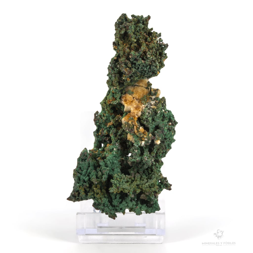 COBRE NATIVO españa