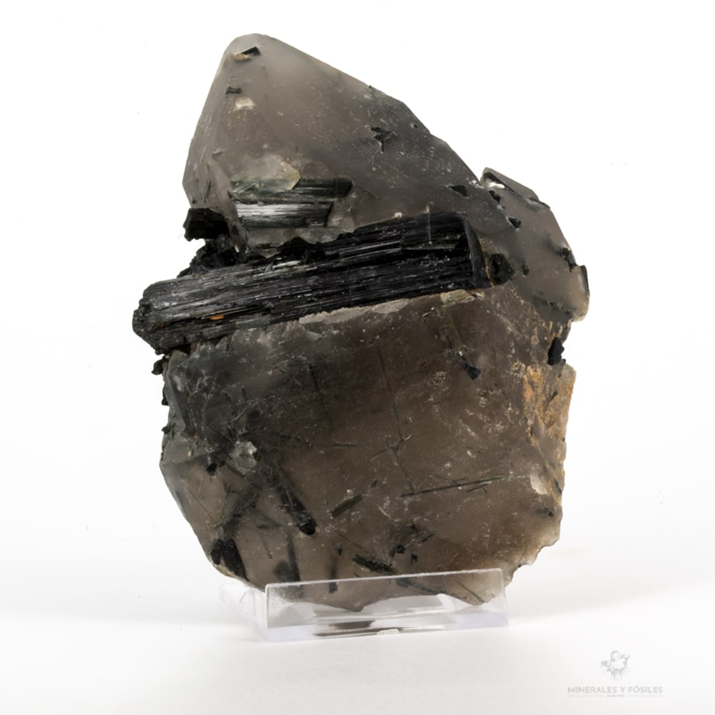 Turmalina negra en matriz de cuarzo