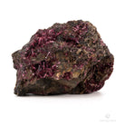 Eritrina