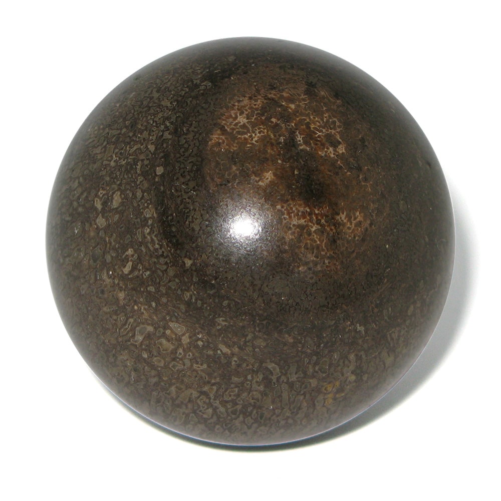 esfera de dinosaurio