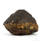 MEteorito condrita sahara occ