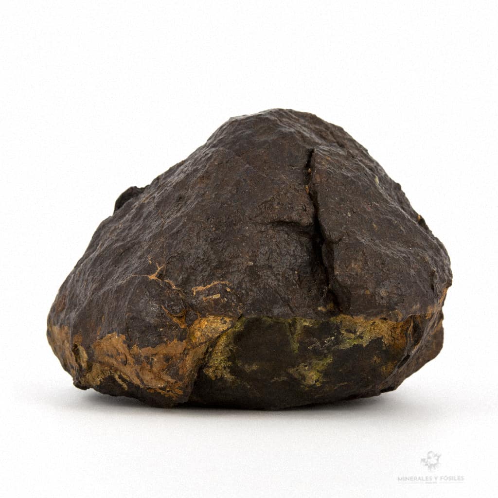 MEteorito condrita 