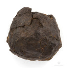 MEteorito condrita sahara