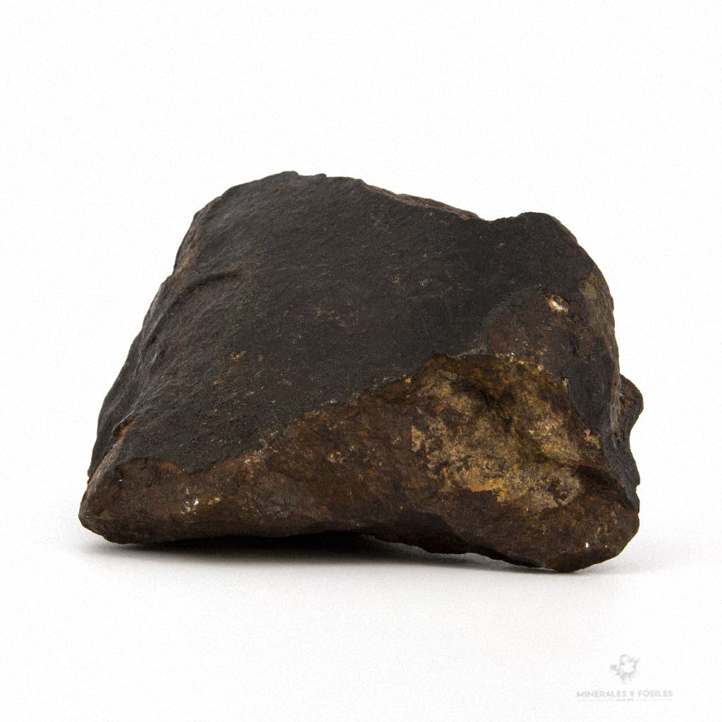 METEORITO CONDRITA sahara occidental