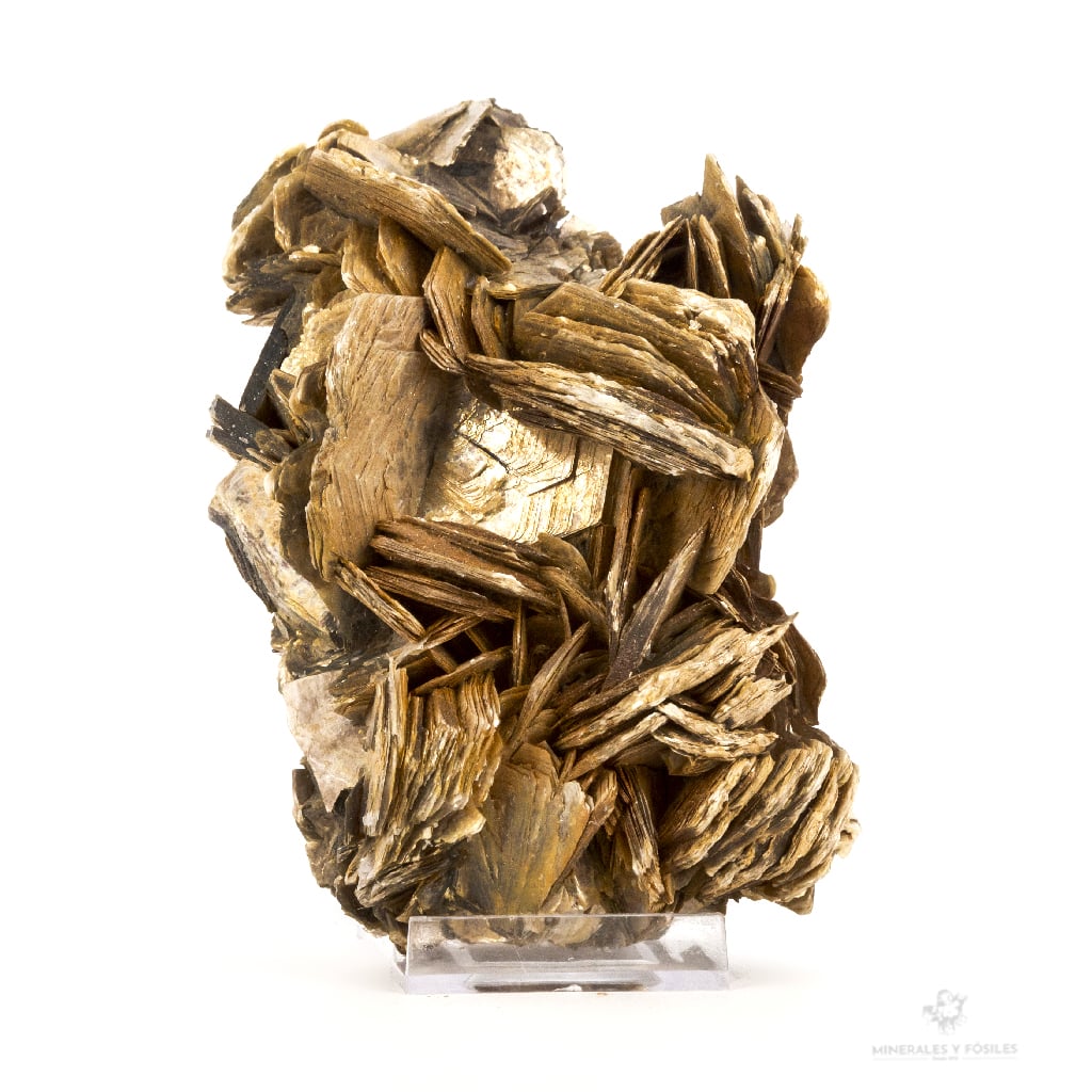 MICA MOSCOVITA