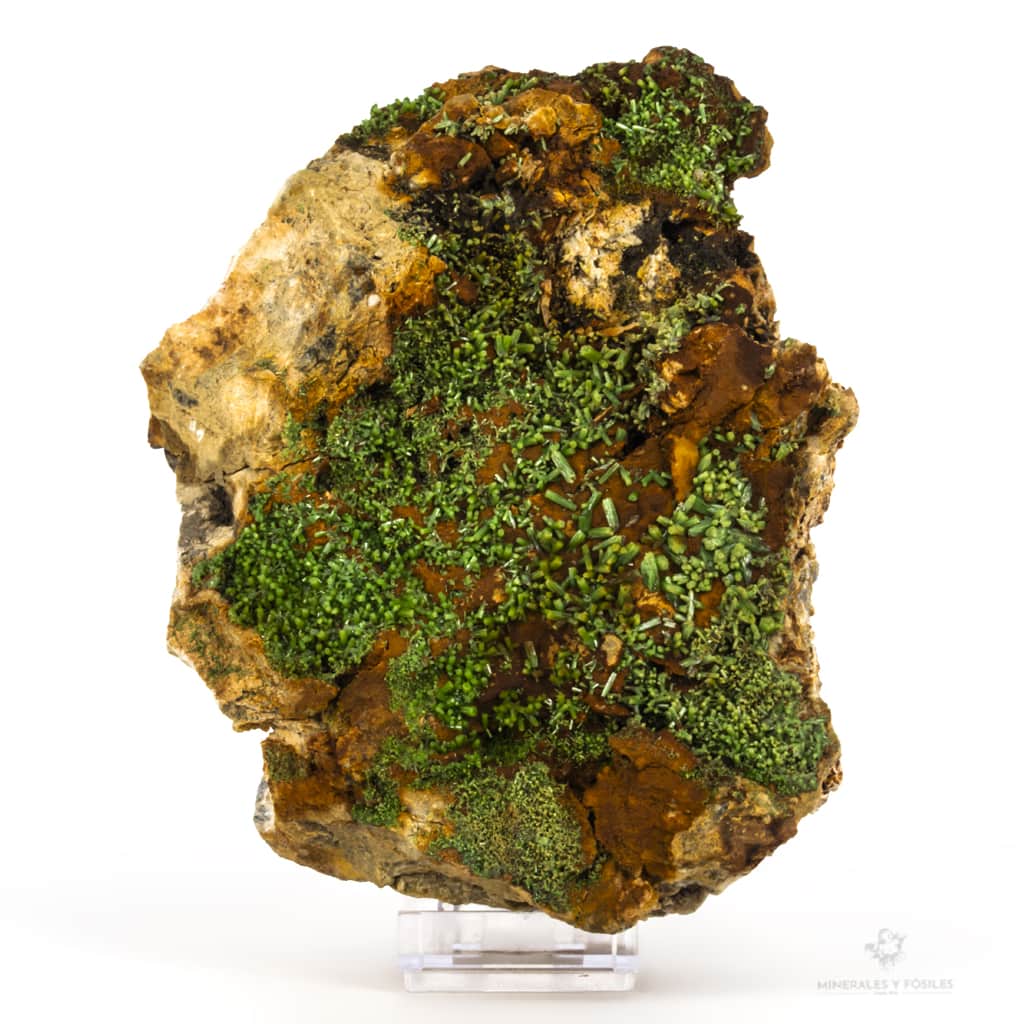 PIROMORFITA EN MATRIZ VERDE