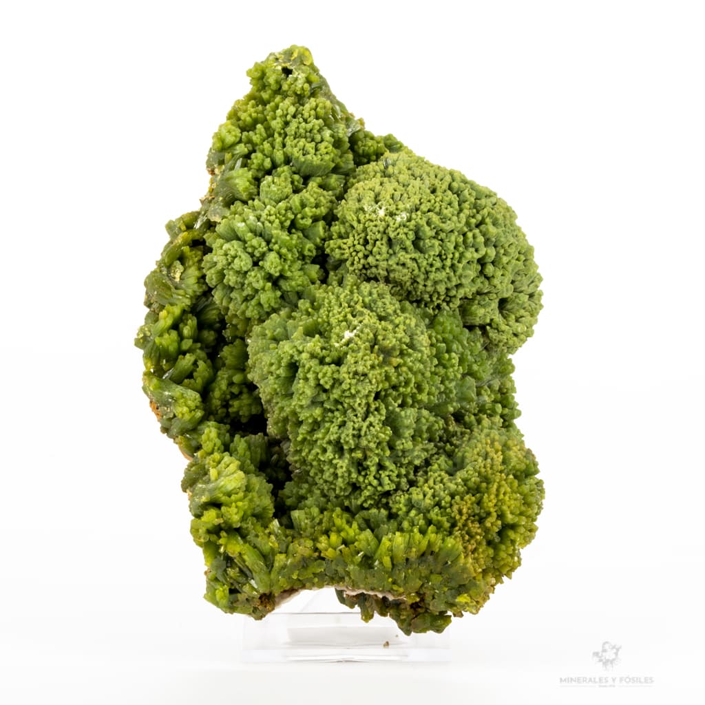 Piromorfita verde intenso