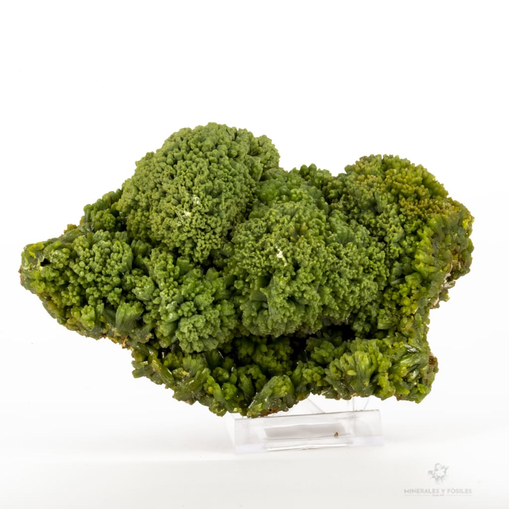 piromorfita verde